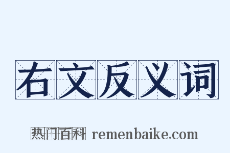 右文反义词是什么意思的图片